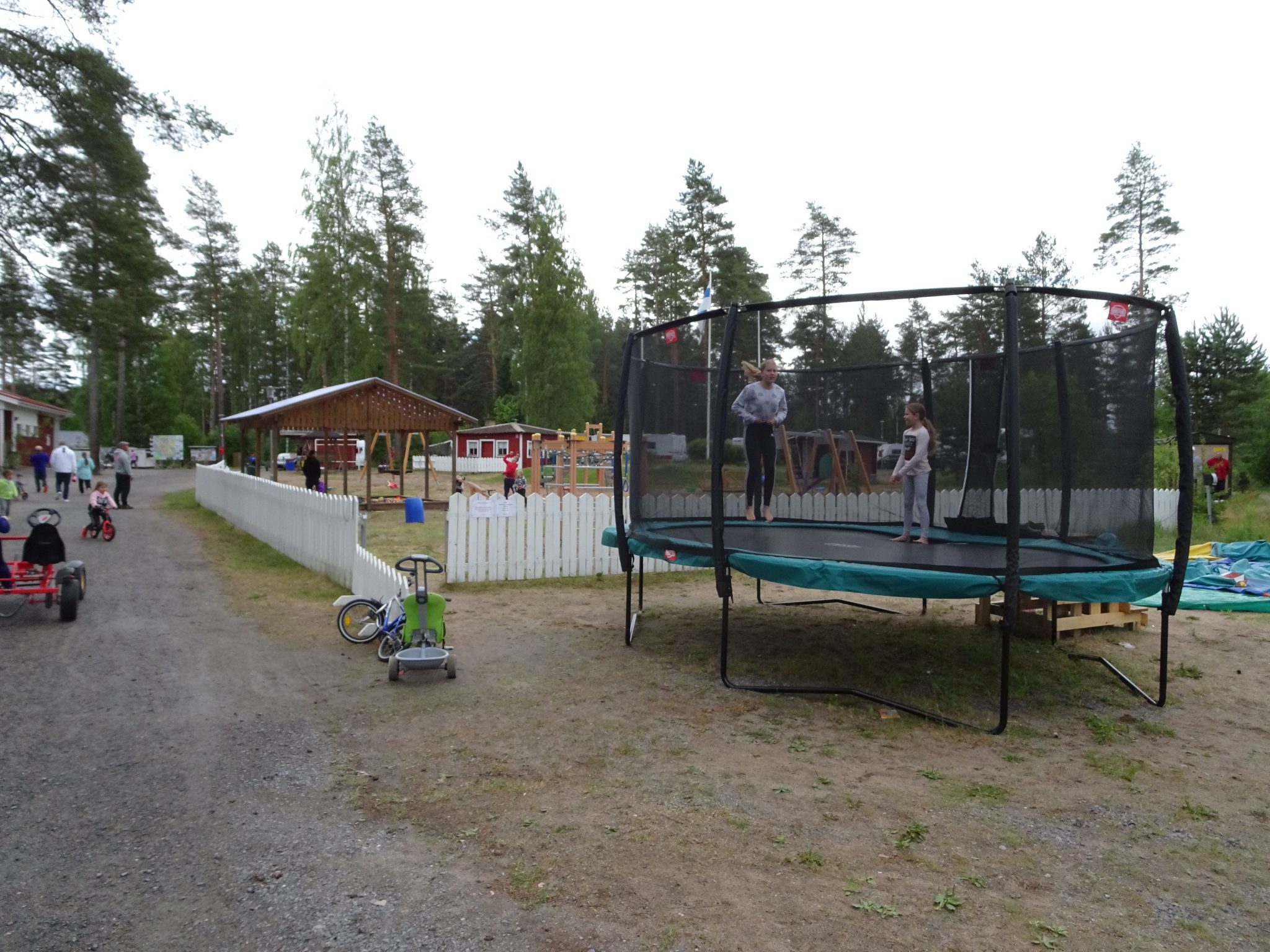 Playing children in Vankkurimännikkö